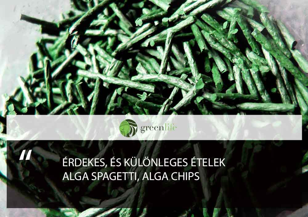 alga-spagetti-greenlife